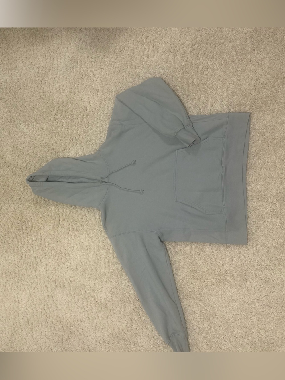 Aritzia (TNA) Cozy Boyfriend Hoodie